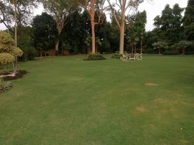 Plot For Sale