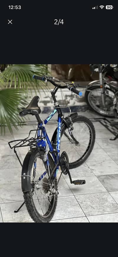 Phoenix cycle 26 size