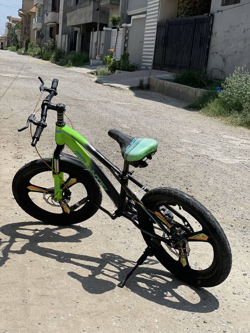 Cycle 2