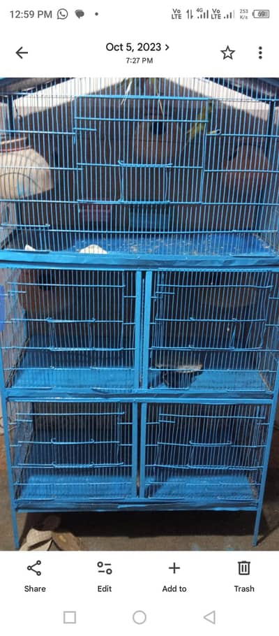 birds cage &hens