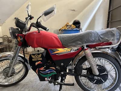 ROADKING electric bike