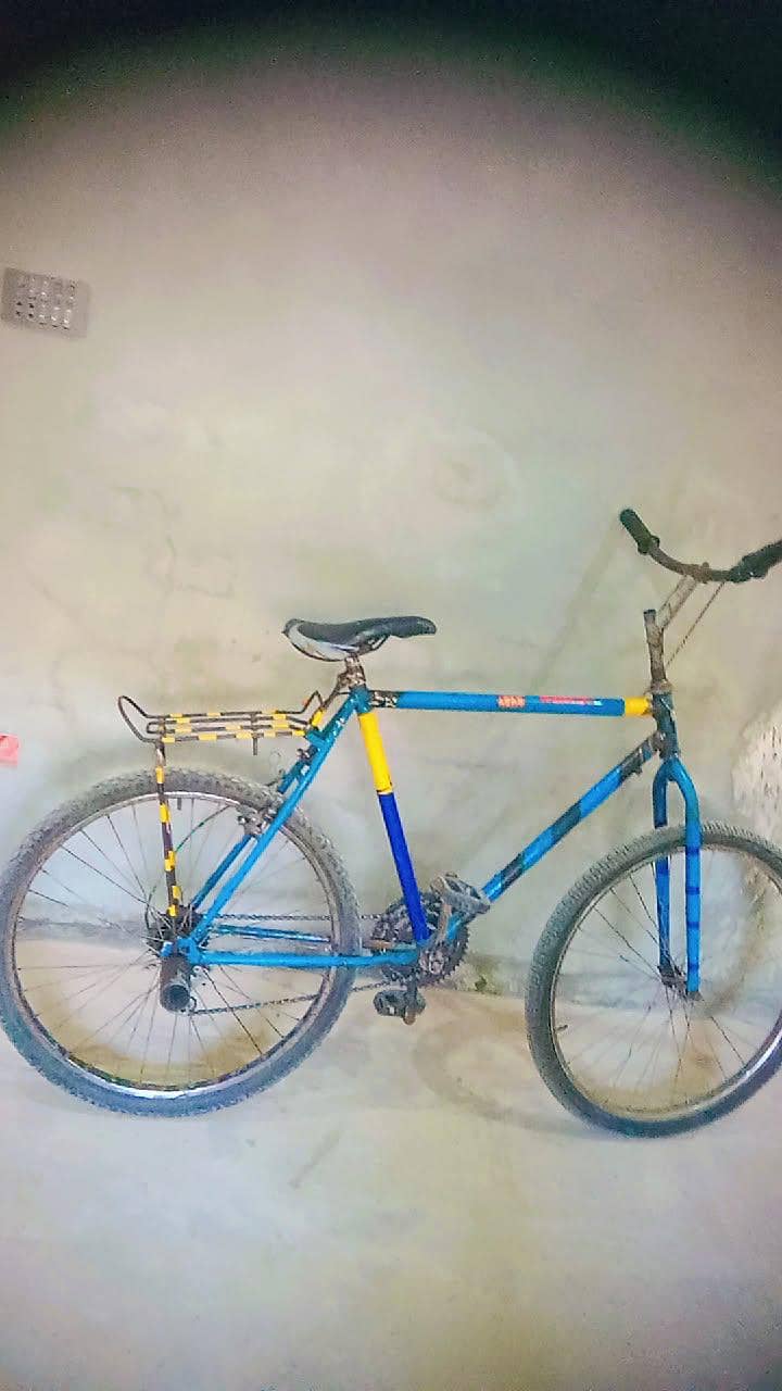 phoenix cycel 1
