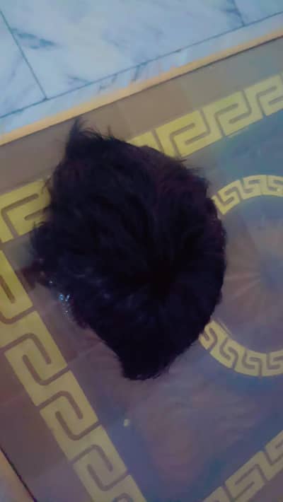 premium natural black hair patch for men