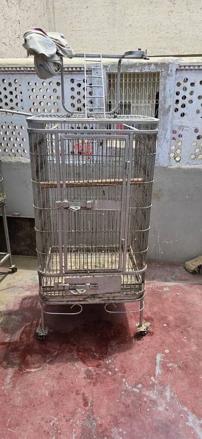 Grey parrot cage