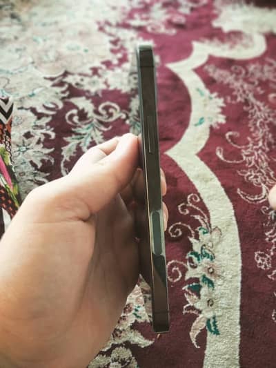 Apple iPhone 12 Pro
