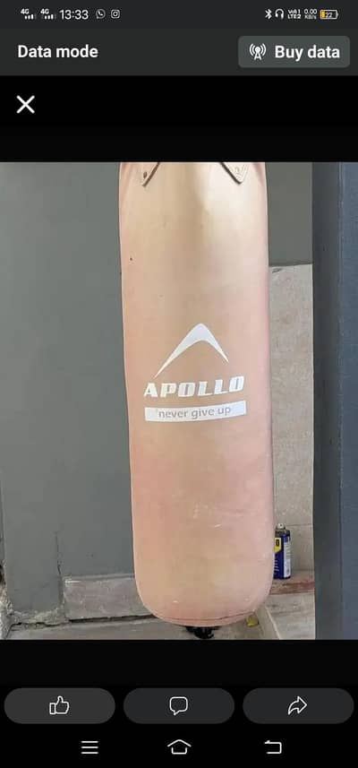 Apollo boxing gloves and bag havey leather