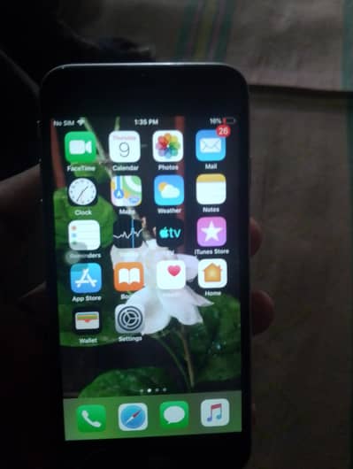 Apple iPhone 6