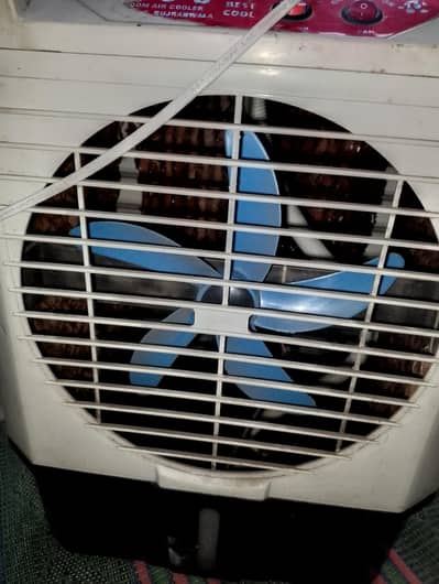 Solar Coler For Sale