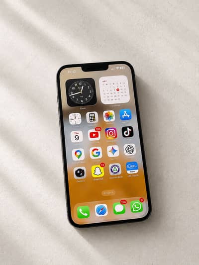 Apple iPhone 13 Pro Max