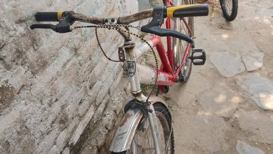 title: Big size bicycle -Good condition