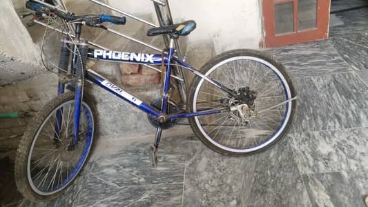 phonix cyckle