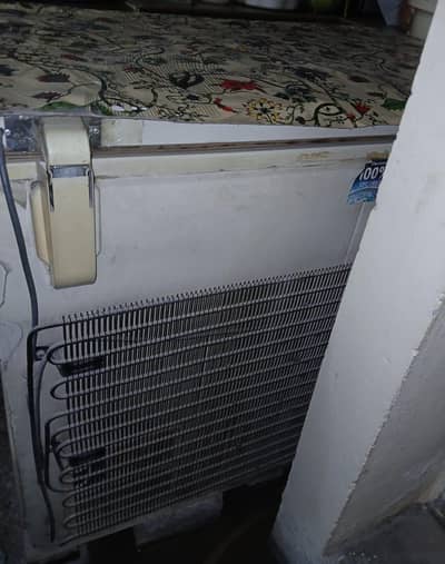 dawlance single door deep freezer