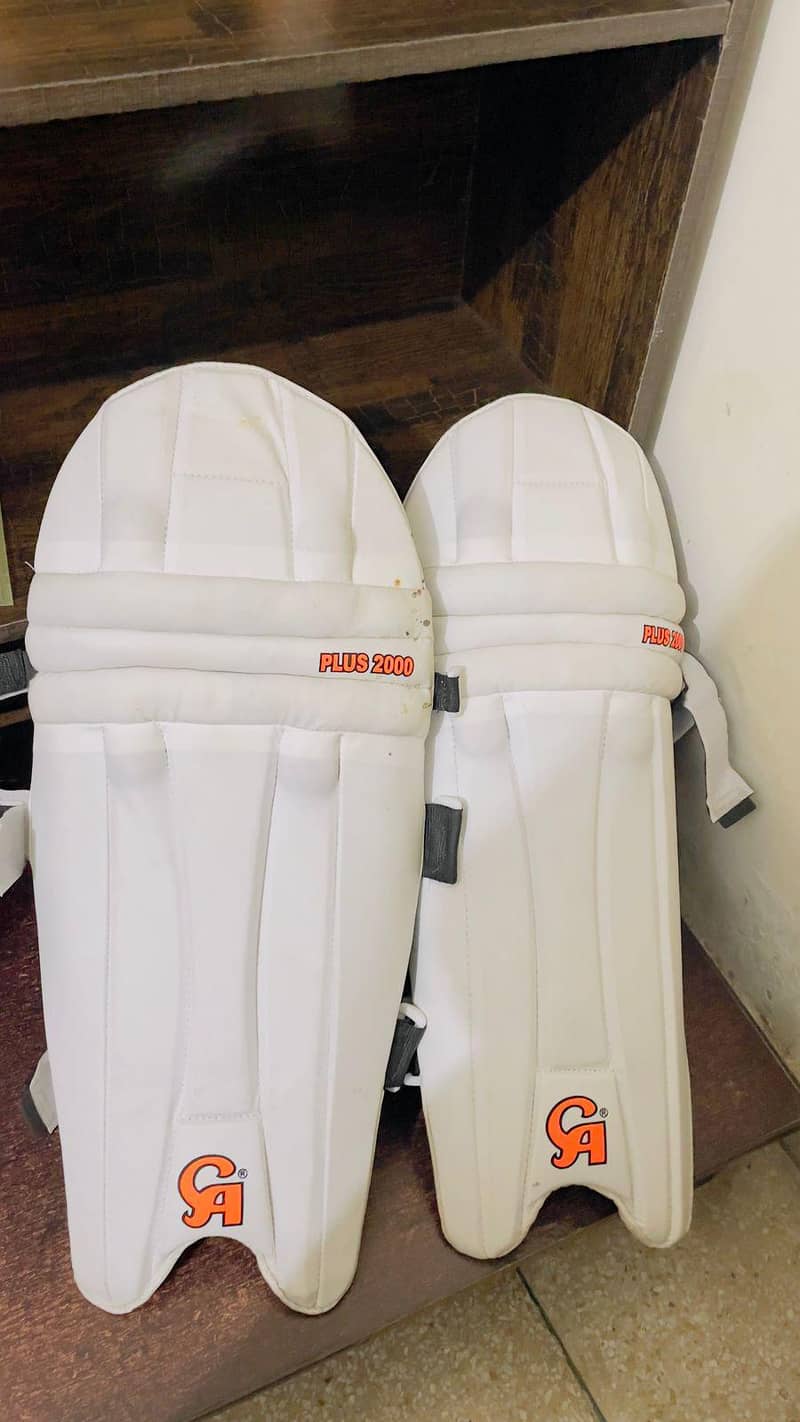 cricket kit 2