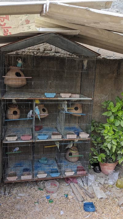 4 birds cages for sale 25000.