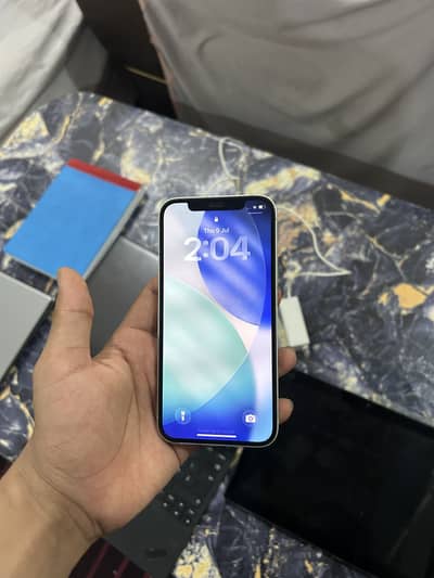 Iphone 12 jv 10/10 lush 95 health waterpack