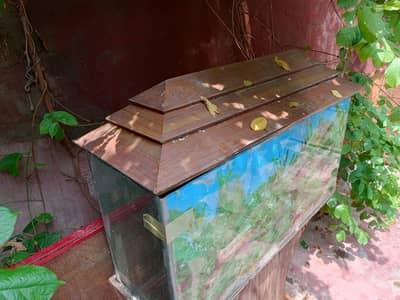 fish tank urgent sell