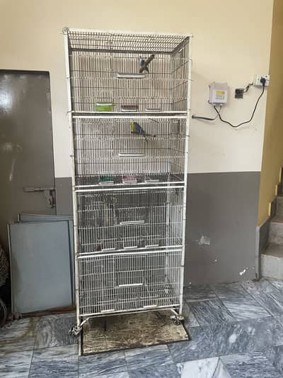 Cage for parrots made with hard material
