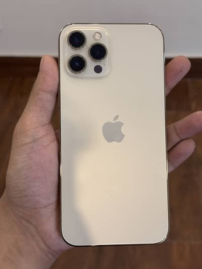 Apple iPhone 12 Pro Max Dual PTA Water Pack Phone