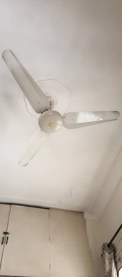 Pak Fan for sale
