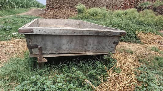 wood khurli