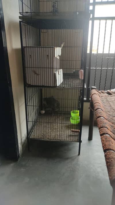 cage (for birds,cats, parrots,hen,)