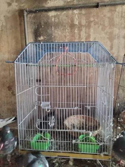cage for sale