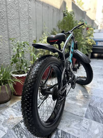 Bicycle (Fat)