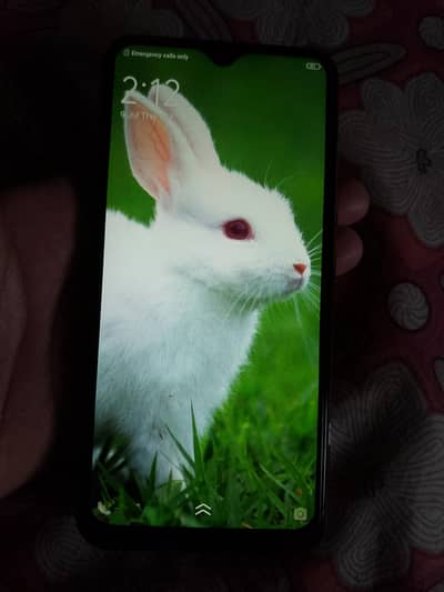 Vivo Y17
