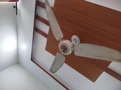 royal celling fan
