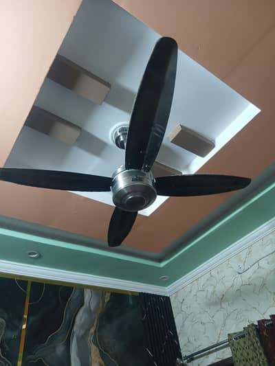 Brand new Indus fans (75W)