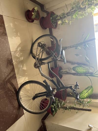 Cycle For Sale