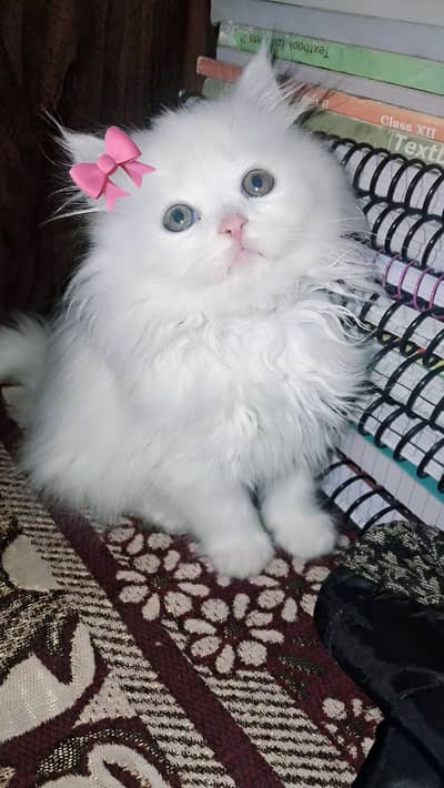 Bella
