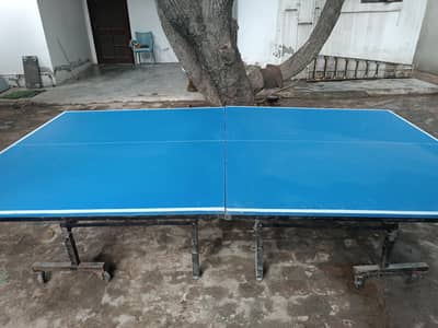 Table Tennis Table