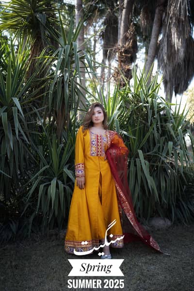 elegant and stylish formal dresses