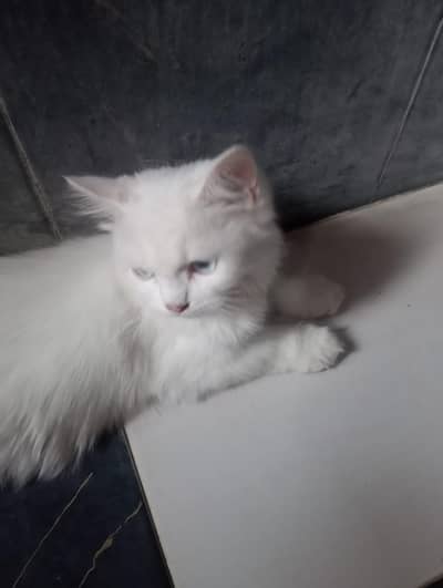 white female