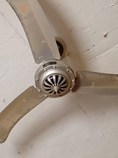 celling fan for sale