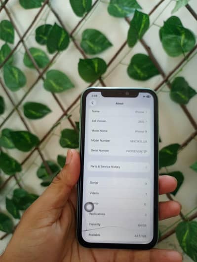 Apple iPhone 11