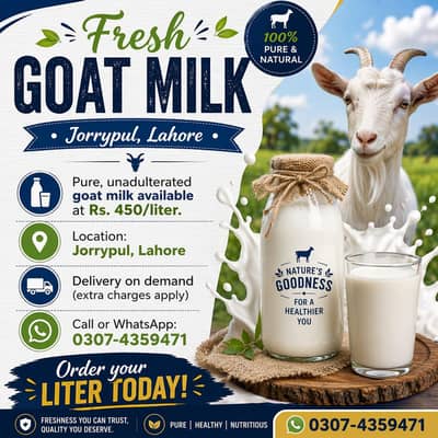 Bakri ka doodh Fresh Goat Milk Pure 500/per ltr