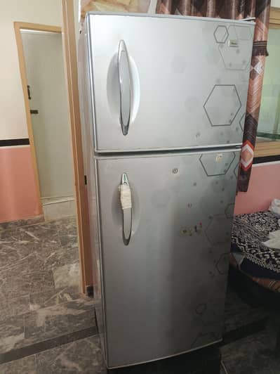 refrigerator & freezer