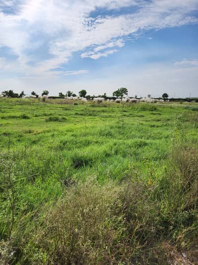 E Extension 5 Marla Residential Plot For Sale In Street 96