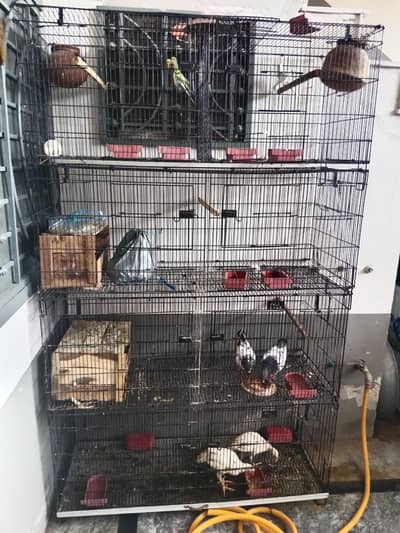 8 kahno Wala cage for sell