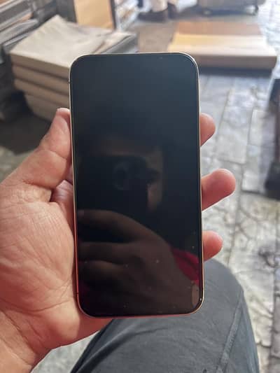 Apple iPhone 13 Pro Max factory unlock
