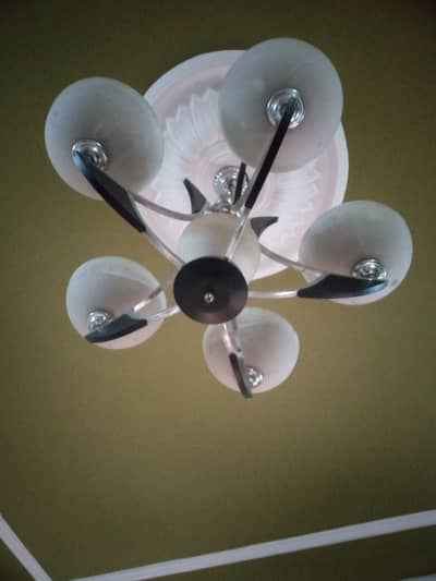 Fanoos