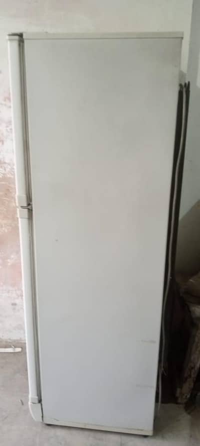 PEL Fridge