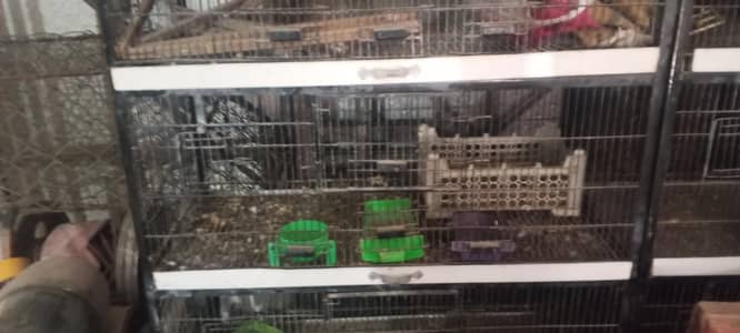 2 soled cage for love birds look like New