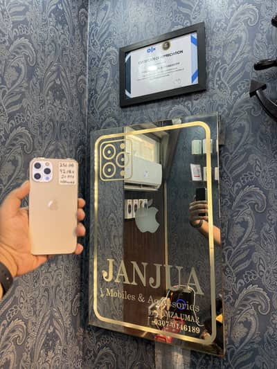 iPhone 12 Pro Max 256GB PTA APPROVED