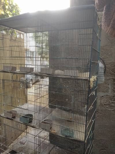 8 portion cage    03032293774