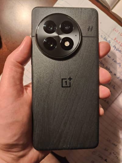 One Plus 13