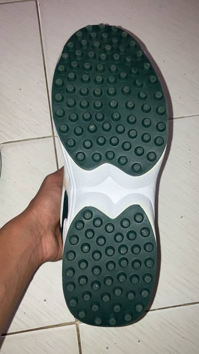Ca gold shoes griper