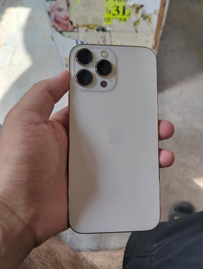 Apple iPhone 13 Pro Max
